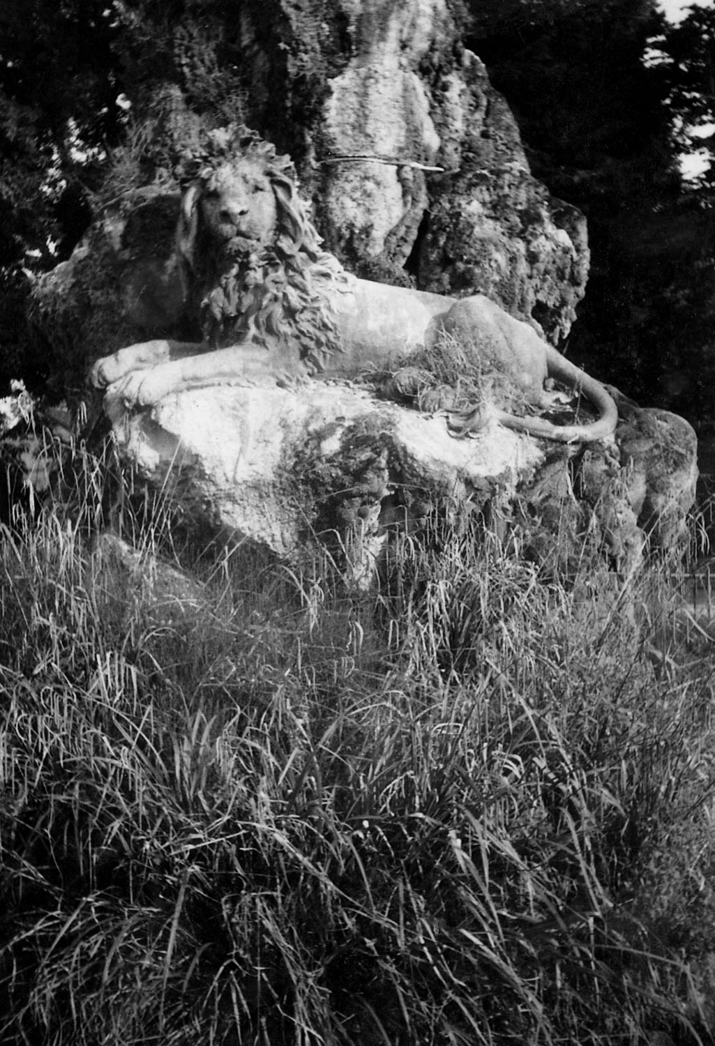 4. Foto von Leah-Lilith Heeren in schwarz-weiß und Hochformat, abgebildet ist das Modell eines Löwen, hinter ihm ist ein Baumstamm zu sehen, vor ihm hohes Gras.