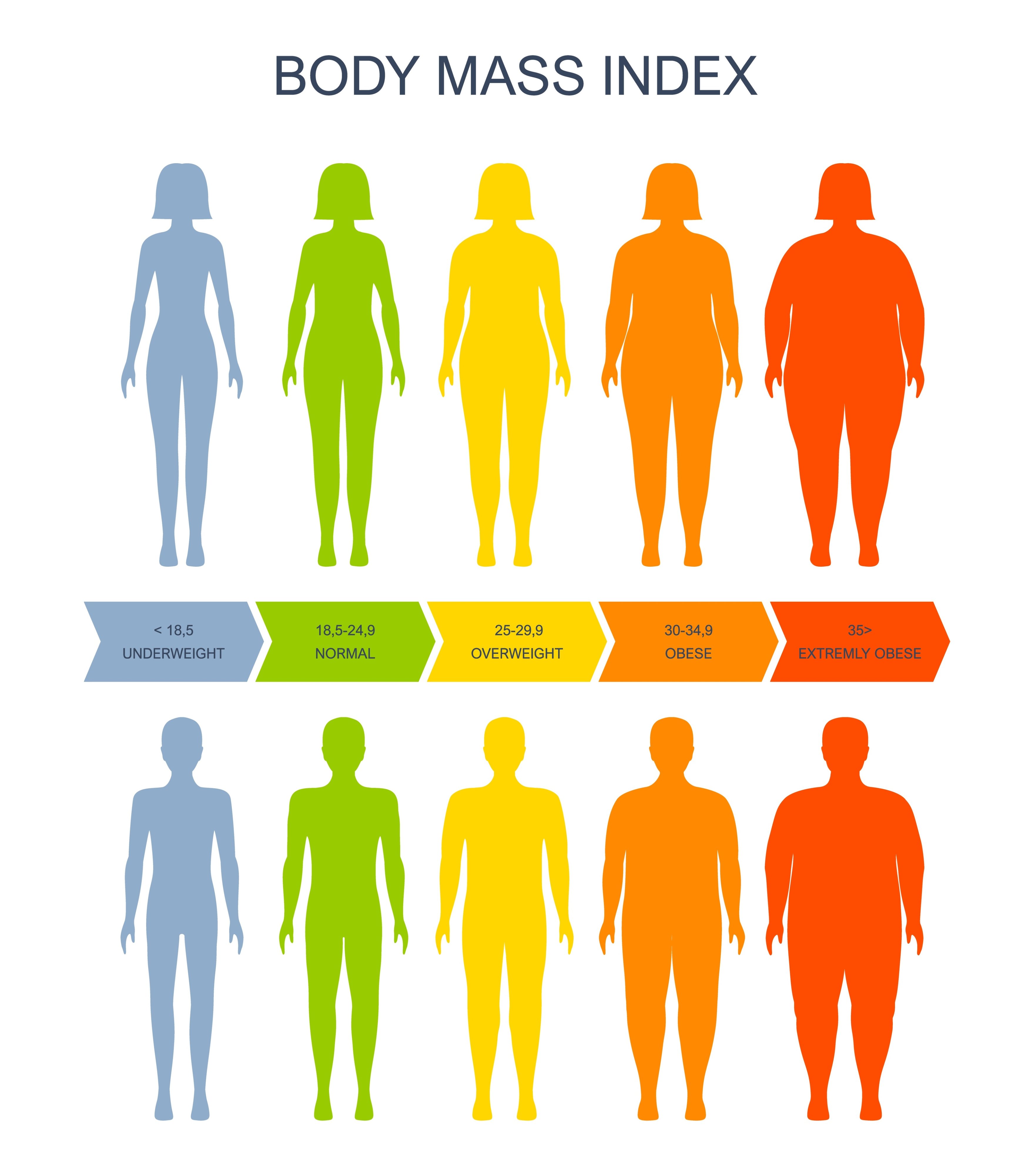 Das Bild zeigt eine Body Mass Index Skala, eine Einteilung in 5 Kategorien, oben weiblich gelesene Silhouette, unten männlich gelesene Silhouette:  blau unter 18,5 underweight, grün 18,5 -24,9 normal, gelb 25 – 29,9 overweight, orange 30 – 34,9 obese, rot 35+ extremely obese. Quelle: Buch&Bee