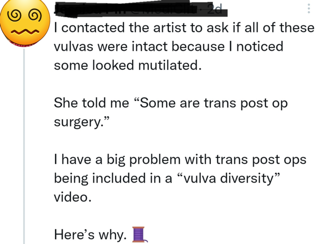 Das Bild zeigt einen Tweet, die Absenderin ist von mir anonymisiert. Der Text lautet: I contacted the artist to ask if all of these vulvas were intact because I noticed some looked mutilated. She told me: “Some are trans post op surgery.” I have a big problem with trans post ops being included in a “vulva diversity” video. Here’s why. Thread emoji. Quelle: Twitter Screenshot von Rebekka Endler