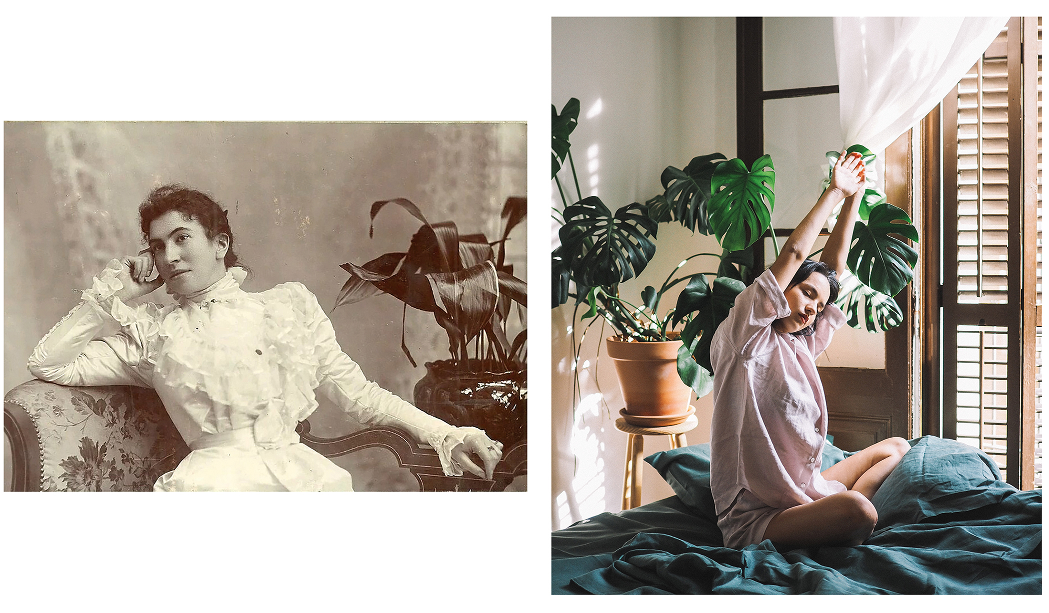 links: »For Victorians it was a sign of middle class stature to have an Aspidistra, so they often posed with them in photographs.« Unbekannte Person. Circa 1900   rechts: @seame.linen. 2019
