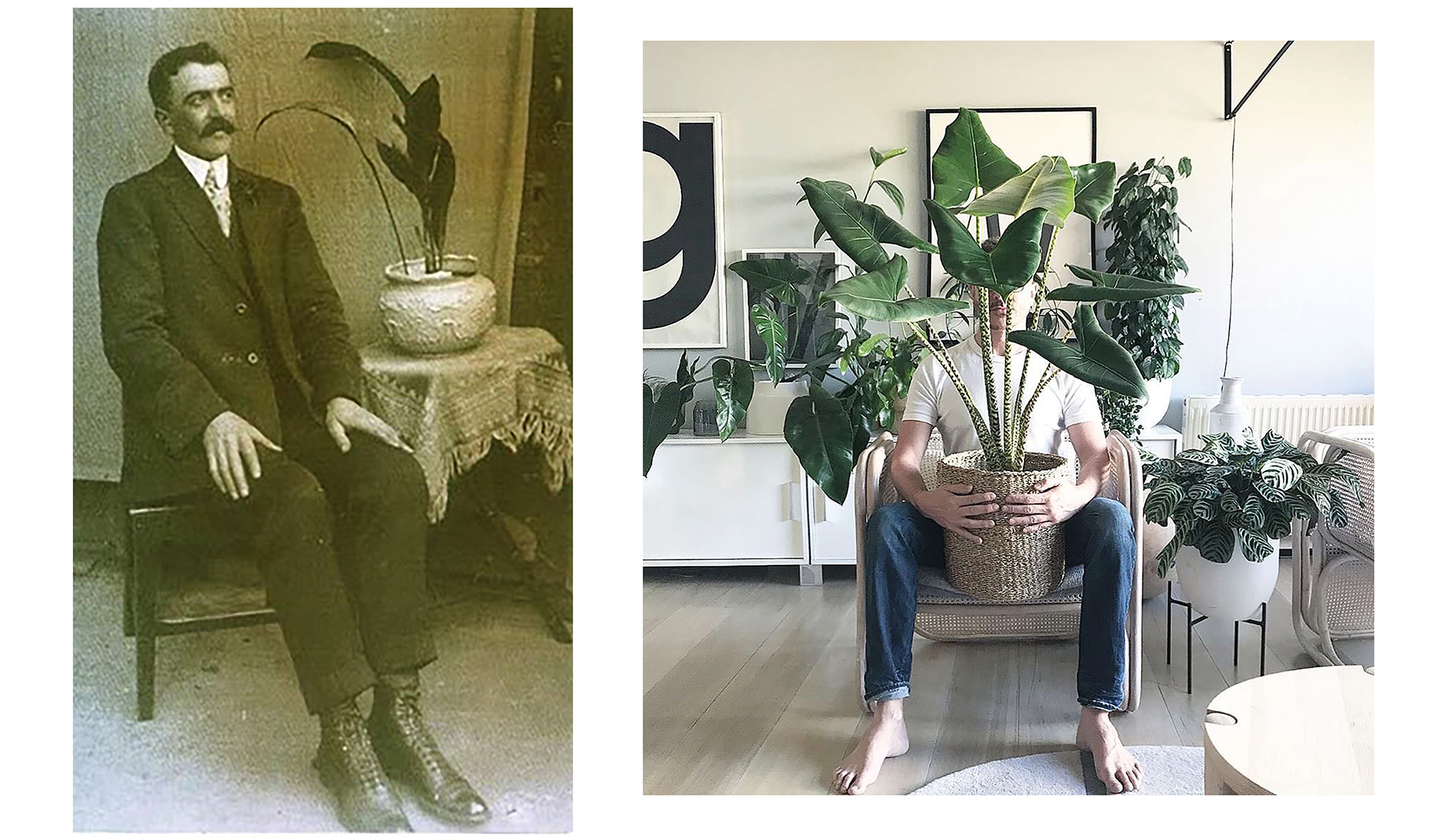 links:  Unbekannte viktorianische Person posiert neben einer Kentai-Pflanze. Circa 1896–1920   rechts: »Nothing comes between me and my plants & Alocasia zebrina is today’s favorite« @craigmilran. 2019