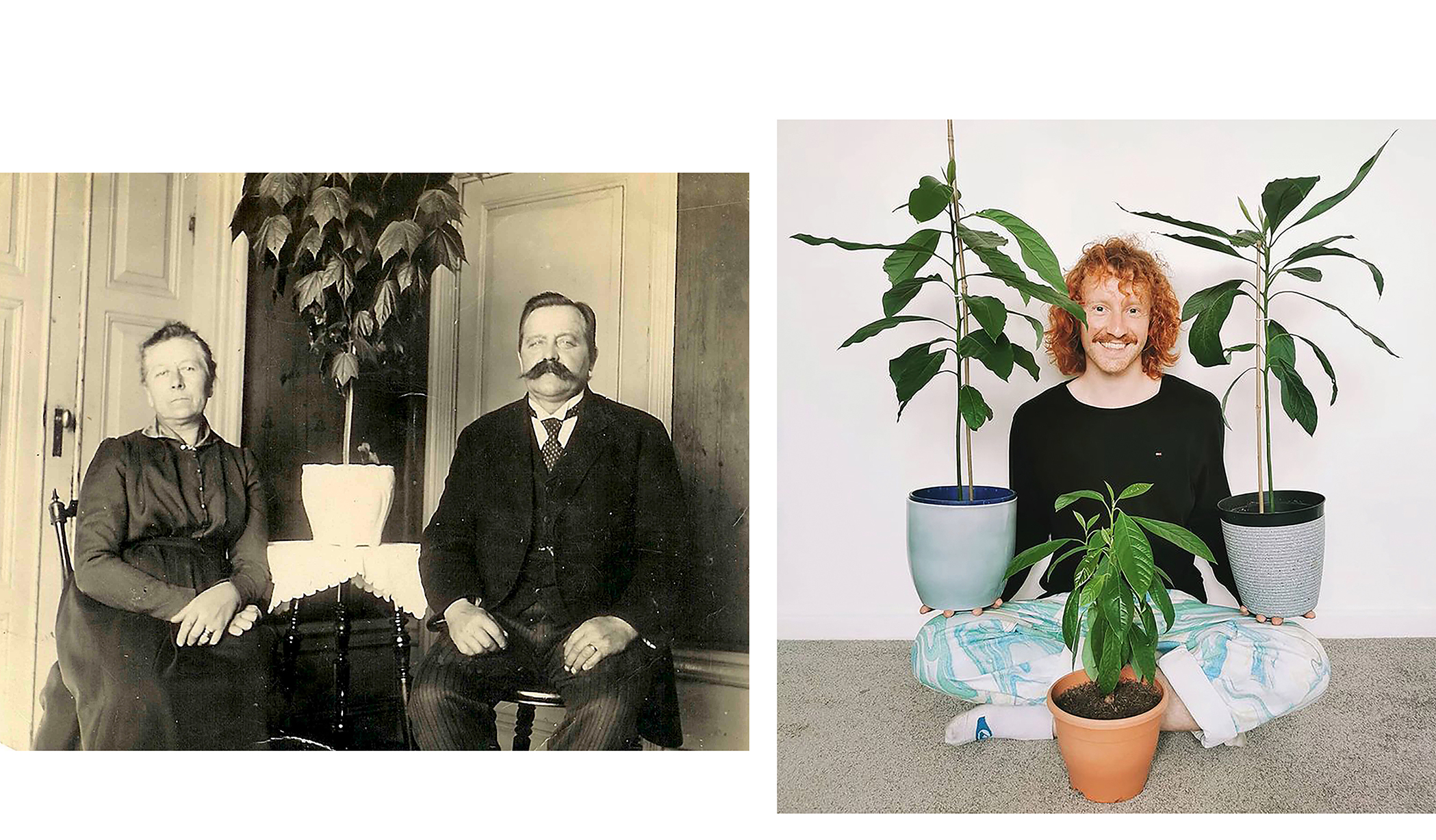 links: Unbekanntes Paar. Schweden. Circa 1910   rechts:  »A wise man (me) once said (just now) you can never have too many avocado plants. Do I need another one? Not really. Do I have one propogating in my kitchen? Absolutely.  [...]« @_ginger_roots. 2021